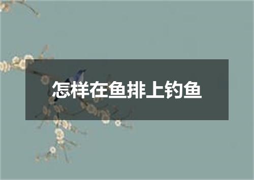 怎样在鱼排上钓鱼