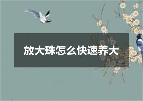 放大珠怎么快速养大