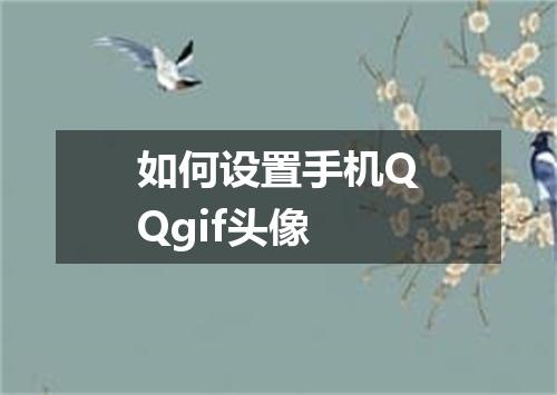 如何设置手机QQgif头像