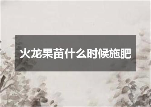 火龙果苗什么时候施肥