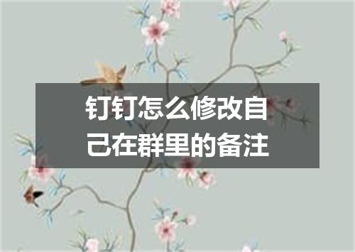 钉钉怎么修改自己在群里的备注