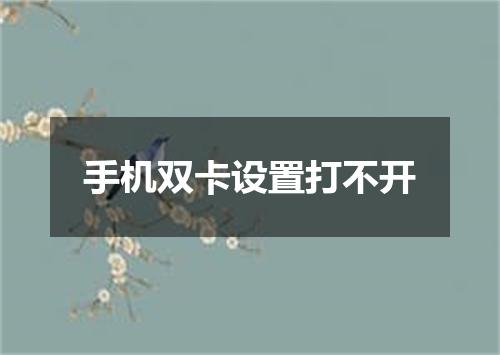 手机双卡设置打不开