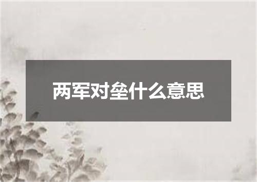 两军对垒什么意思