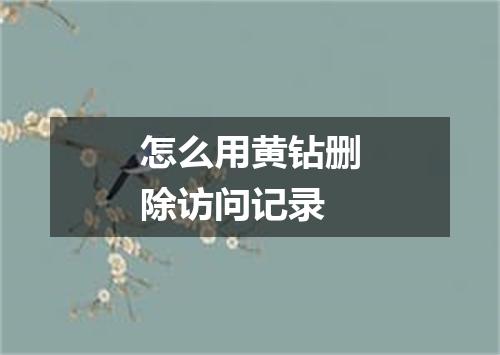 怎么用黄钻删除访问记录