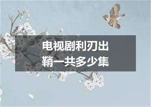 电视剧利刃出鞘一共多少集