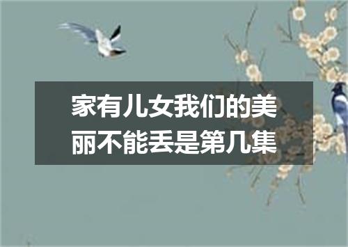 家有儿女我们的美丽不能丢是第几集