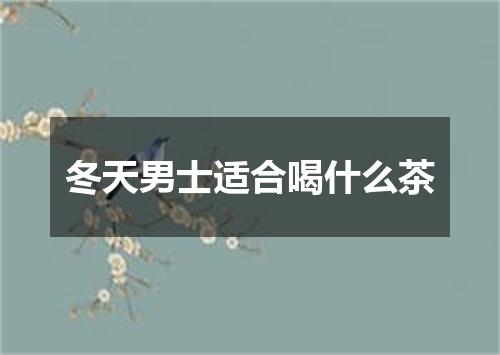 冬天男士适合喝什么茶