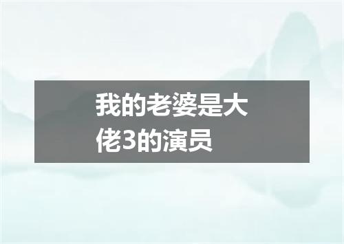 我的老婆是大佬3的演员
