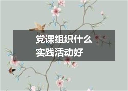 党课组织什么实践活动好
