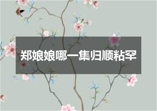 郑娘娘哪一集归顺粘罕