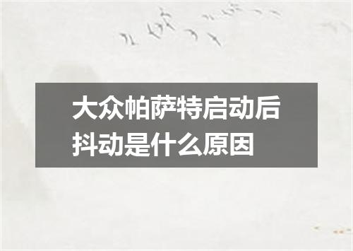 大众帕萨特启动后抖动是什么原因