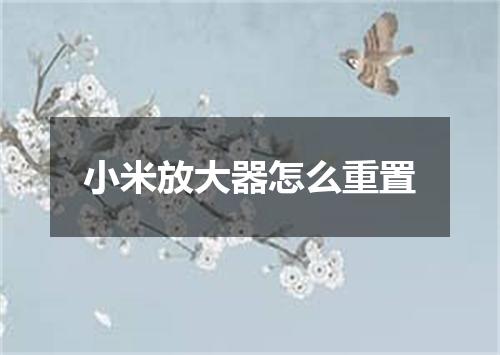 小米放大器怎么重置