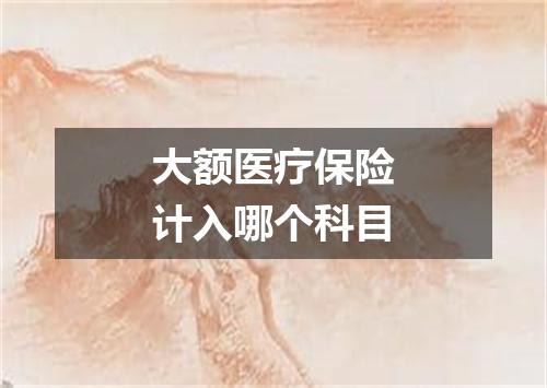大额医疗保险计入哪个科目
