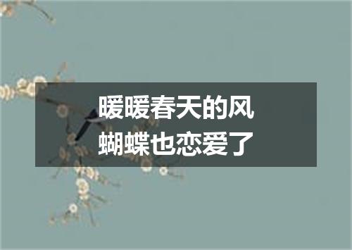 暖暖春天的风蝴蝶也恋爱了