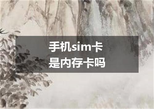 手机sim卡是内存卡吗