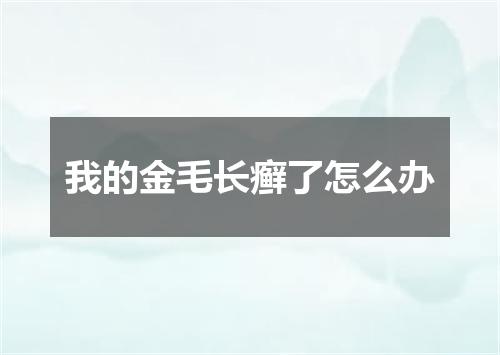 我的金毛长癣了怎么办