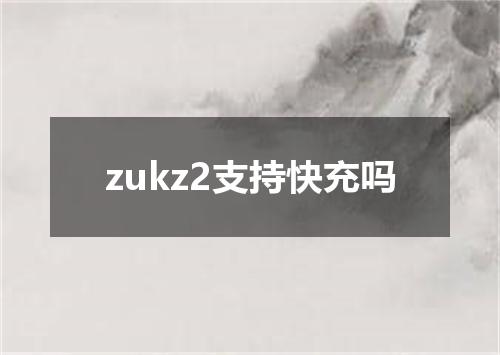 zukz2支持快充吗