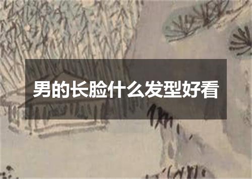 男的长脸什么发型好看