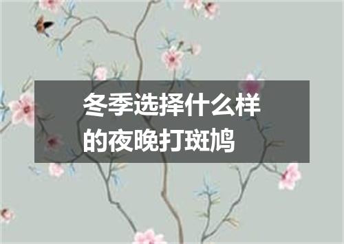 冬季选择什么样的夜晚打斑鸠