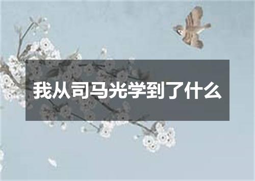 我从司马光学到了什么