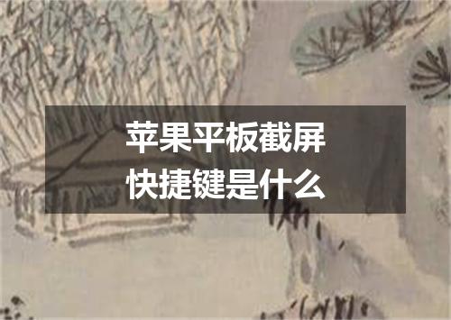 苹果平板截屏快捷键是什么