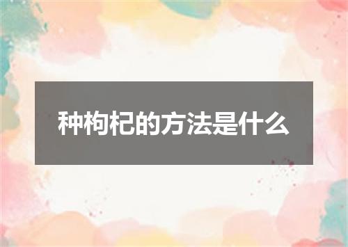 种枸杞的方法是什么