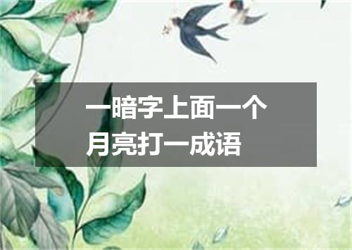 一暗字上面一个月亮打一成语