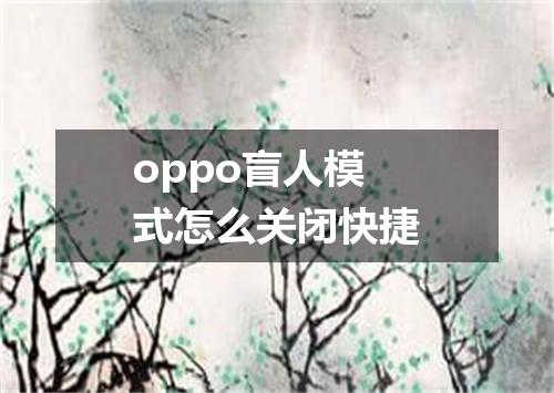 oppo盲人模式怎么关闭快捷