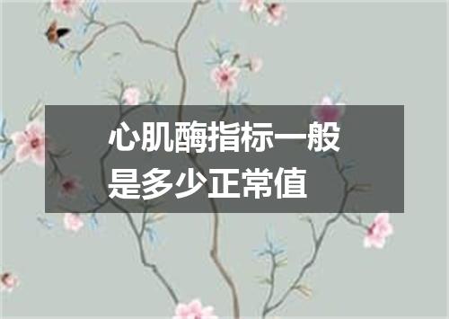 心肌酶指标一般是多少正常值