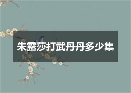 朱露莎打武丹丹多少集