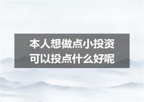 本人想做点小投资可以投点什么好呢