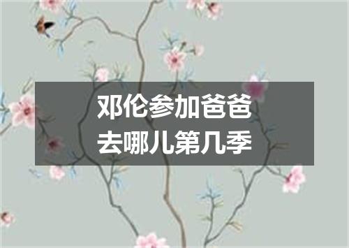 邓伦参加爸爸去哪儿第几季