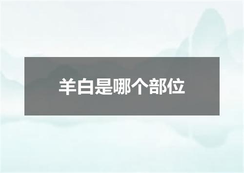 羊白是哪个部位