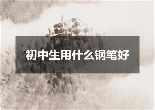 初中生用什么钢笔好