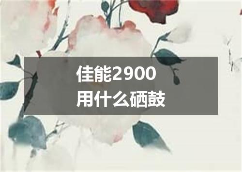 佳能2900用什么硒鼓