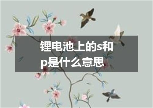 锂电池上的s和p是什么意思
