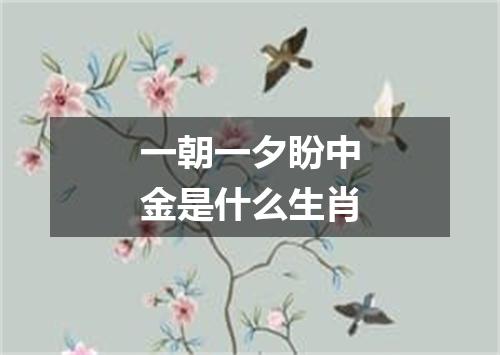 一朝一夕盼中金是什么生肖