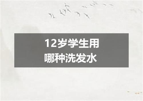 12岁学生用哪种洗发水