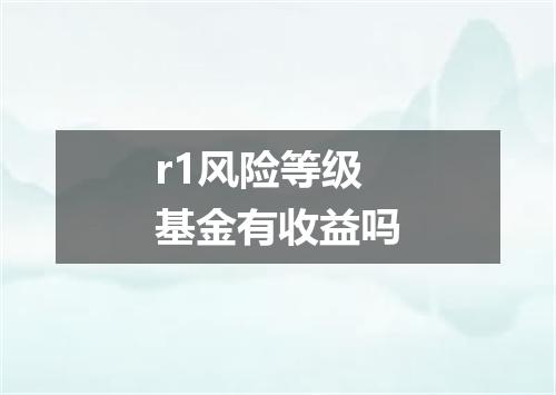 r1风险等级基金有收益吗
