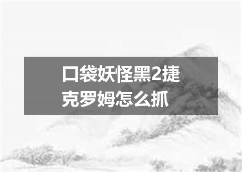口袋妖怪黑2捷克罗姆怎么抓