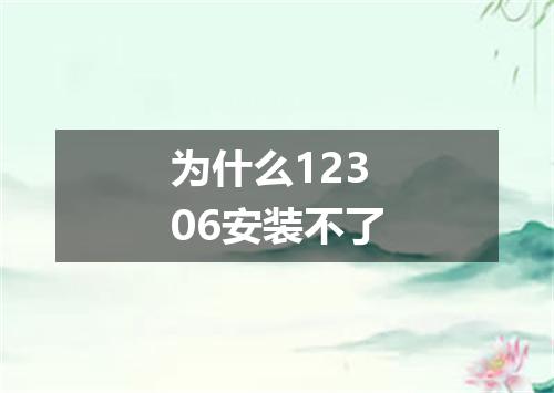 为什么12306安装不了