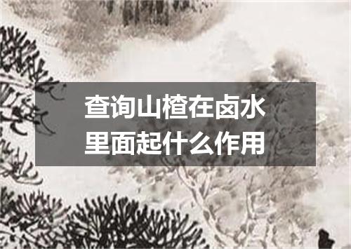 查询山楂在卤水里面起什么作用