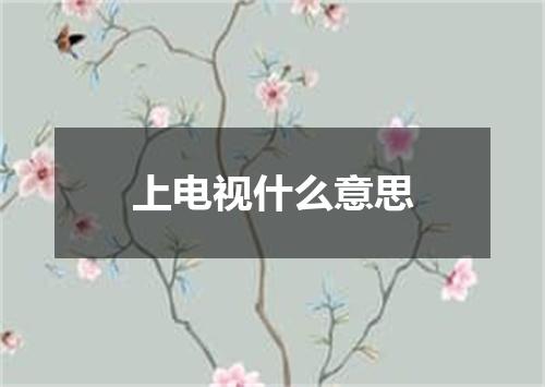 上电视什么意思