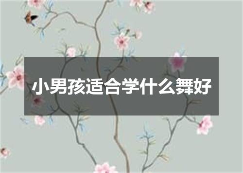小男孩适合学什么舞好