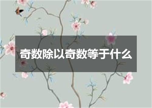 奇数除以奇数等于什么