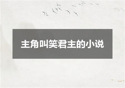 主角叫笑君主的小说