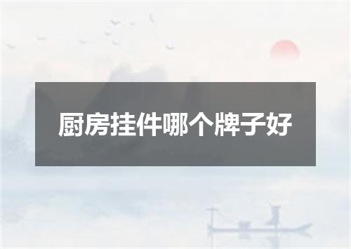 厨房挂件哪个牌子好