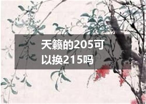 天籁的205可以换215吗