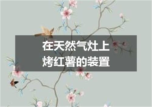 在天然气灶上烤红薯的装置