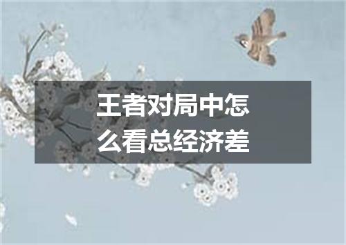 王者对局中怎么看总经济差